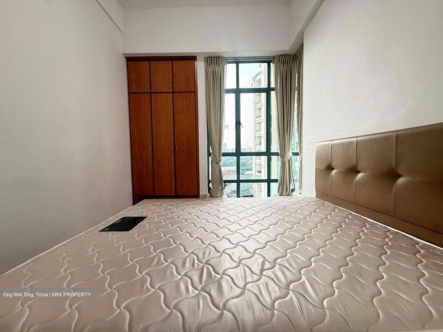 Tanglin Regency (D10), Condominium #613532041